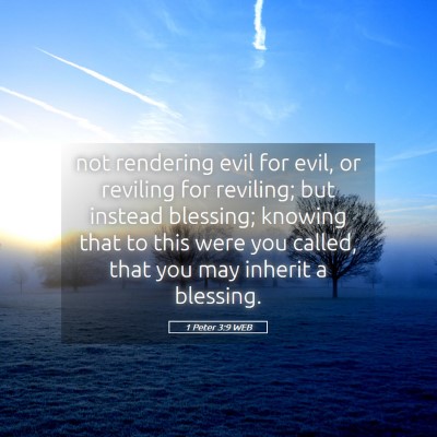Picture 05 - 1 Peter 3:9 WEB - not rendering evil for evil, or reviling for - Bible Verse Picture