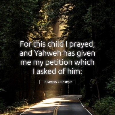 Picture 05 - 1 Samuel 1:27 WEB - For this child I prayed; and Yahweh has given me - Bible Verse Picture