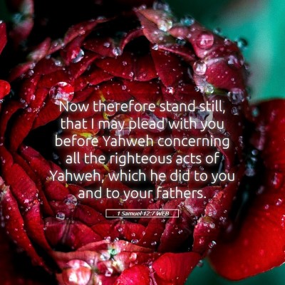 Picture 05 - 1 Samuel 12:7 WEB - Now therefore stand still, that I may plead with - Bible Verse Picture