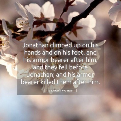 Picture 05 - 1 Samuel 14:13 WEB - Jonathan climbed up on his hands and on his feet, - Bible Verse Picture