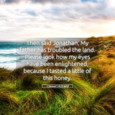 Picture 05 - 1 Samuel 14:29 WEB - Then said Jonathan, My father has troubled the - Bible Verse Picture
