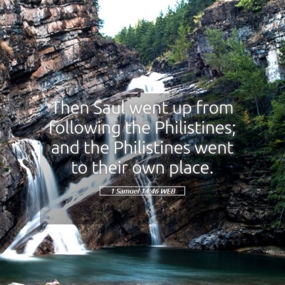 Picture 05 - 1 Samuel 14:46 WEB - Then Saul went up from following the Philistines; - Bible Verse Picture