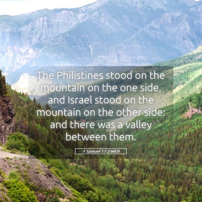 Picture 05 - 1 Samuel 17:3 WEB - The Philistines stood on the mountain on the one - Bible Verse Picture