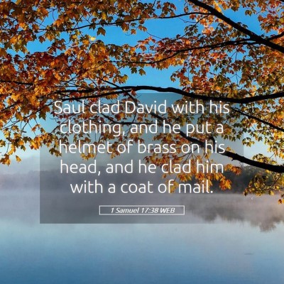 Picture 05 - 1 Samuel 17:38 WEB - Saul clad David with his clothing, and he put a - Bible Verse Picture