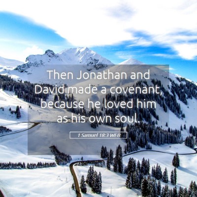 Picture 05 - 1 Samuel 18:3 WEB - Then Jonathan and David made a covenant, because - Bible Verse Picture