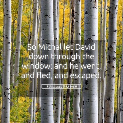 Picture 05 - 1 Samuel 19:12 WEB - So Michal let David down through the window: and - Bible Verse Picture
