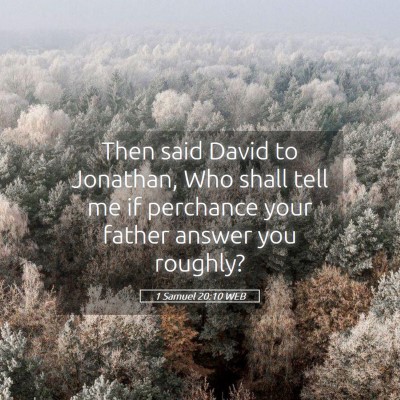 Picture 05 - 1 Samuel 20:10 WEB - Then said David to Jonathan, Who shall tell me if - Bible Verse Picture