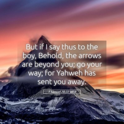 Picture 05 - 1 Samuel 20:22 WEB - But if I say thus to the boy, Behold, the arrows - Bible Verse Picture
