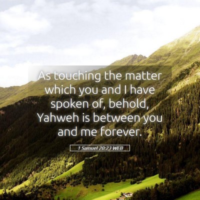 Picture 05 - 1 Samuel 20:23 WEB - As touching the matter which you and I have - Bible Verse Picture