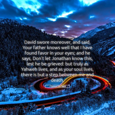 Picture 05 - 1 Samuel 20:3 WEB - David swore moreover, and said, Your father knows - Bible Verse Picture