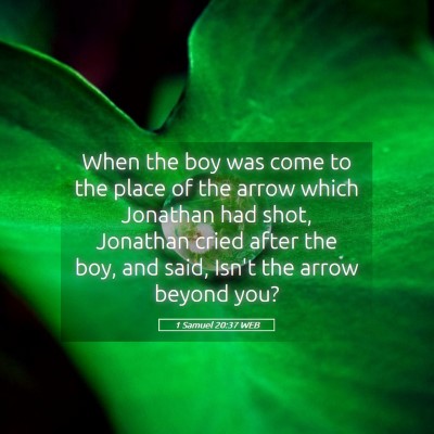 Picture 05 - 1 Samuel 20:37 WEB - When the boy was come to the place of the arrow - Bible Verse Picture