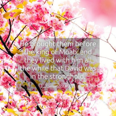 Picture 05 - 1 Samuel 22:4 WEB - He brought them before the king of Moab: and they - Bible Verse Picture