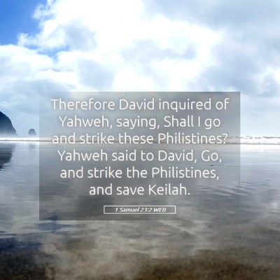 Picture 05 - 1 Samuel 23:2 WEB - Therefore David inquired of Yahweh, saying, Shall - Bible Verse Picture