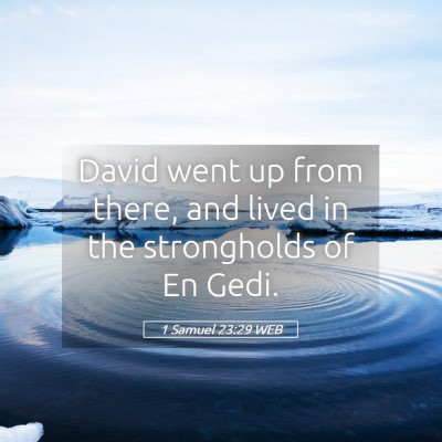 Picture 05 - 1 Samuel 23:29 WEB - David went up from there, and lived in the - Bible Verse Picture