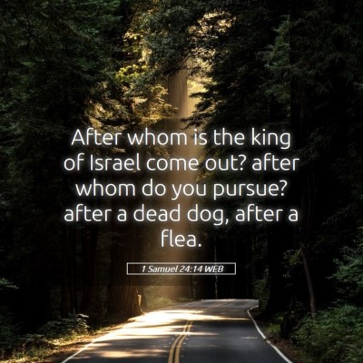 Picture 05 - 1 Samuel 24:14 WEB - After whom is the king of Israel come out? after - Bible Verse Picture