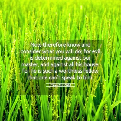 Picture 05 - 1 Samuel 25:17 WEB - Now therefore know and consider what you will do; - Bible Verse Picture