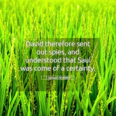 Picture 05 - 1 Samuel 26:4 WEB - David therefore sent out spies, and understood - Bible Verse Picture