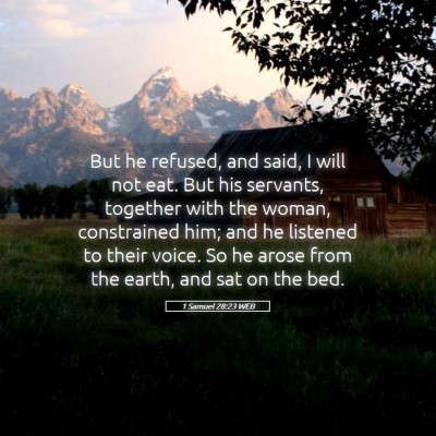 Picture 05 - 1 Samuel 28:23 WEB - But he refused, and said, I will not eat. But his - Bible Verse Picture