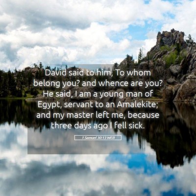 Picture 05 - 1 Samuel 30:13 WEB - David said to him, To whom belong you? and whence - Bible Verse Picture