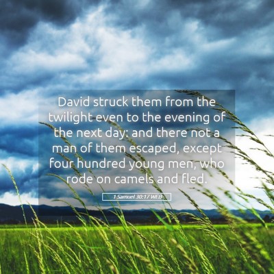 Picture 05 - 1 Samuel 30:17 WEB - David struck them from the twilight even to the - Bible Verse Picture