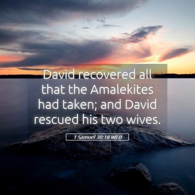 Picture 05 - 1 Samuel 30:18 WEB - David recovered all that the Amalekites had - Bible Verse Picture