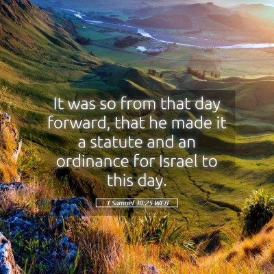Picture 05 - 1 Samuel 30:25 WEB - It was so from that day forward, that he made it - Bible Verse Picture