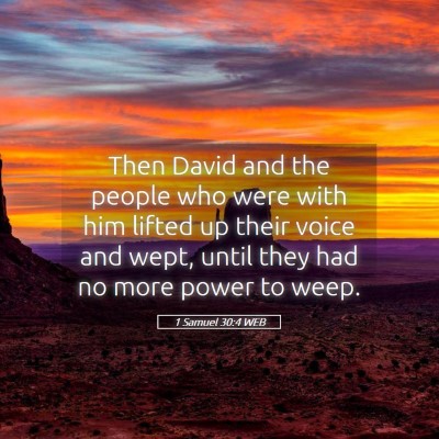 Picture 05 - 1 Samuel 30:4 WEB - Then David and the people who were with him - Bible Verse Picture