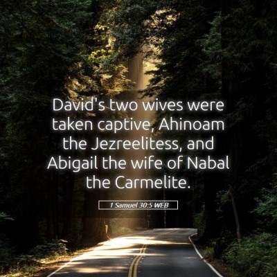 Picture 05 - 1 Samuel 30:5 WEB - David's two wives were taken captive, Ahinoam the - Bible Verse Picture