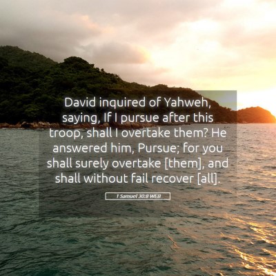 Picture 05 - 1 Samuel 30:8 WEB - David inquired of Yahweh, saying, If I pursue - Bible Verse Picture