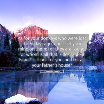 Picture 05 - 1 Samuel 9:20 WEB - As for your donkeys who were lost three days ago, - Bible Verse Picture