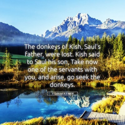 Picture 05 - 1 Samuel 9:3 WEB - The donkeys of Kish, Saul's father, were lost. - Bible Verse Picture