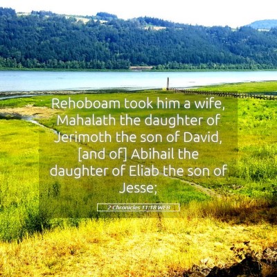 Picture 05 - 2 Chronicles 11:18 WEB - Rehoboam took him a wife, Mahalath the daughter - Bible Verse Picture