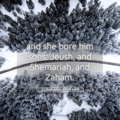 Picture 05 - 2 Chronicles 11:19 WEB - and she bore him sons: Jeush, and Shemariah, and - Bible Verse Picture
