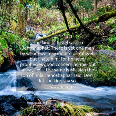 Picture 05 - 2 Chronicles 18:7 WEB - The king of Israel said to Jehoshaphat, There is - Bible Verse Picture