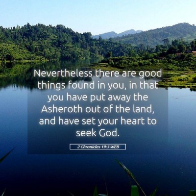 Picture 05 - 2 Chronicles 19:3 WEB - Nevertheless there are good things found in you, - Bible Verse Picture