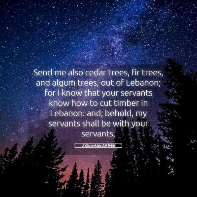 Picture 05 - 2 Chronicles 2:8 WEB - Send me also cedar trees, fir trees, and algum - Bible Verse Picture