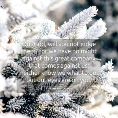 Picture 05 - 2 Chronicles 20:12 WEB - Our God, will you not judge them? for we have no - Bible Verse Picture