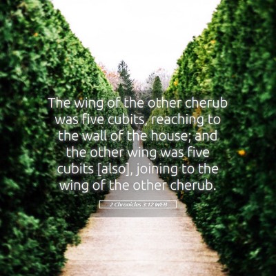 Picture 05 - 2 Chronicles 3:12 WEB - The wing of the other cherub was five cubits, - Bible Verse Picture