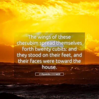 Picture 05 - 2 Chronicles 3:13 WEB - The wings of these cherubim spread themselves - Bible Verse Picture
