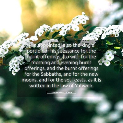 Picture 05 - 2 Chronicles 31:3 WEB - [He appointed] also the king's portion of his - Bible Verse Picture
