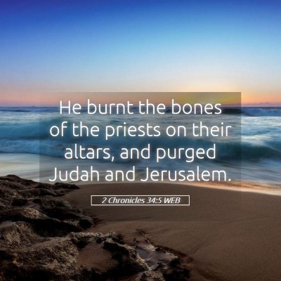 Picture 05 - 2 Chronicles 34:5 WEB - He burnt the bones of the priests on their - Bible Verse Picture