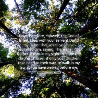 Picture 05 - 2 Chronicles 6:16 WEB - Now therefore, Yahweh, the God of Israel, keep - Bible Verse Picture