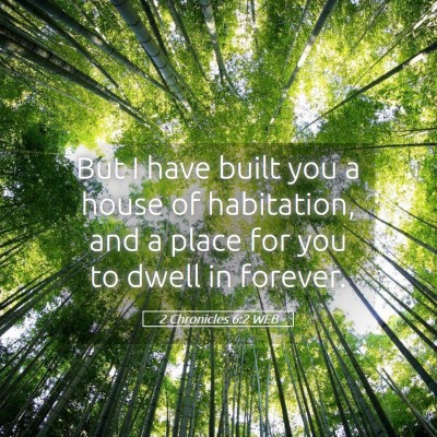 Picture 05 - 2 Chronicles 6:2 WEB - But I have built you a house of habitation, and a - Bible Verse Picture