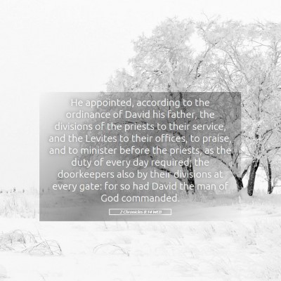 Picture 05 - 2 Chronicles 8:14 WEB - He appointed, according to the ordinance of David - Bible Verse Picture