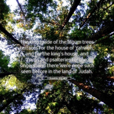 Picture 05 - 2 Chronicles 9:11 WEB - The king made of the algum trees terraces for the - Bible Verse Picture