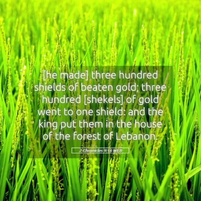 Picture 05 - 2 Chronicles 9:16 WEB - [he made] three hundred shields of beaten gold; - Bible Verse Picture