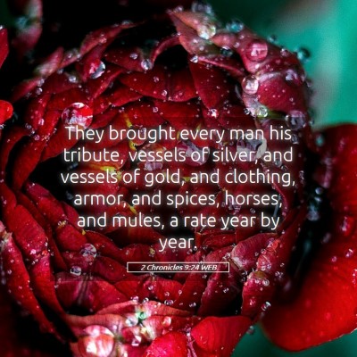 Picture 05 - 2 Chronicles 9:24 WEB - They brought every man his tribute, vessels of - Bible Verse Picture