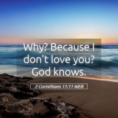 Picture 05 - 2 Corinthians 11:11 WEB - Why? Because I don't love you? God - Bible Verse Picture