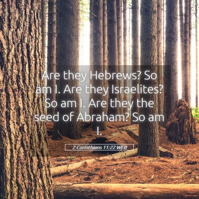 Picture 05 - 2 Corinthians 11:22 WEB - Are they Hebrews? So am I. Are they Israelites? - Bible Verse Picture