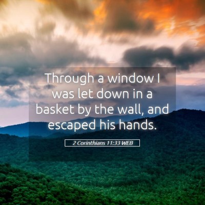 Picture 05 - 2 Corinthians 11:33 WEB - Through a window I was let down in a basket by - Bible Verse Picture